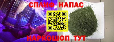 сатива Малгобек