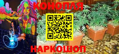 spice Мариинск