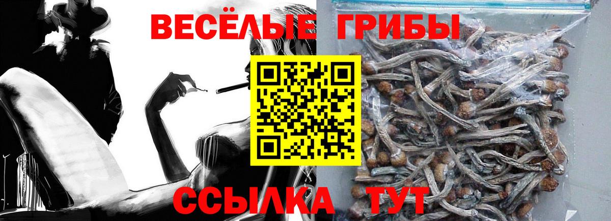 Псилоцибиновые грибы Psilocybine cubensis Гагарин