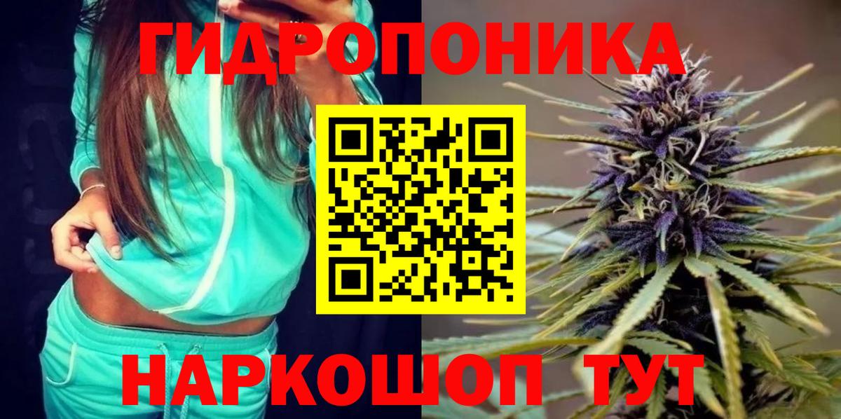 Бошки марихуана семена  Вход с VPN  Канабис тримм  Гагарин 